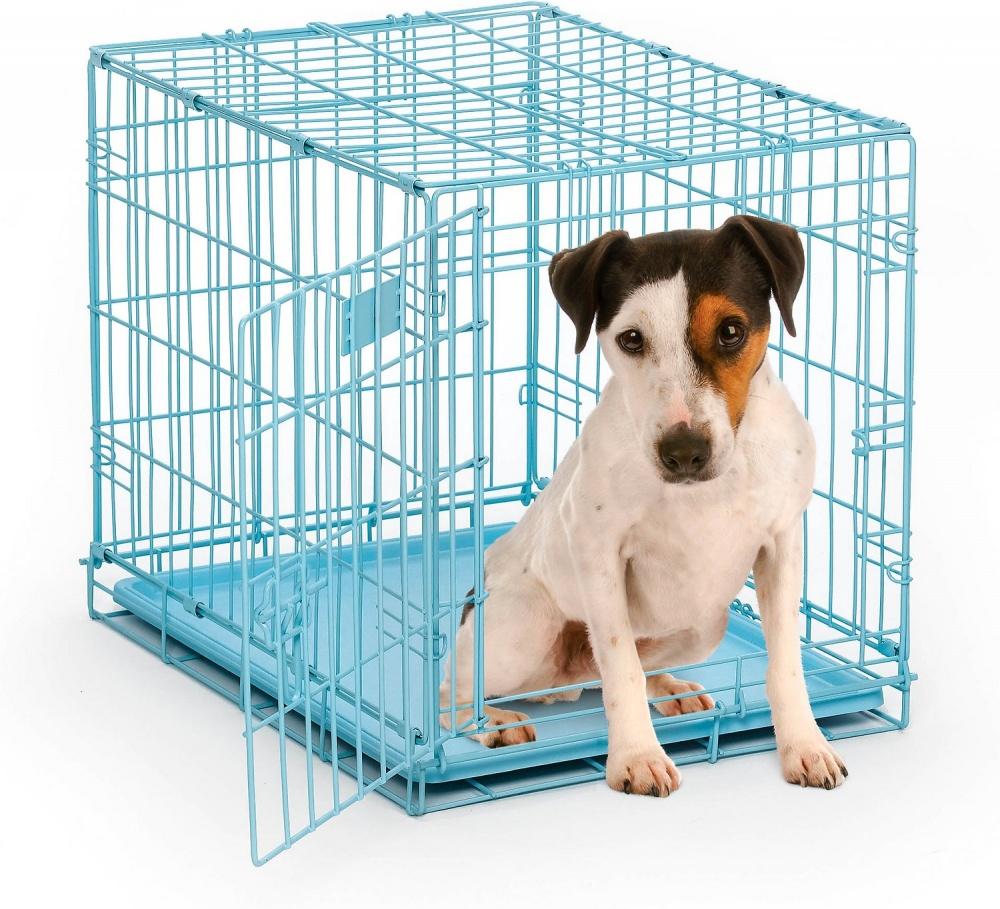 Blue shop dog crate