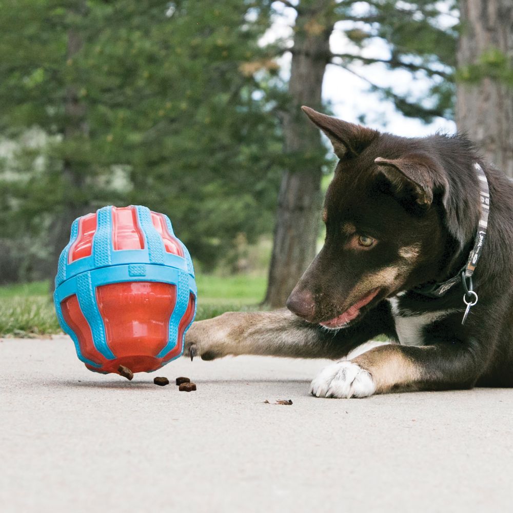 KONG Wobbler Food Dispensing Dog Toy, Small, Red - Yahoo Shopping