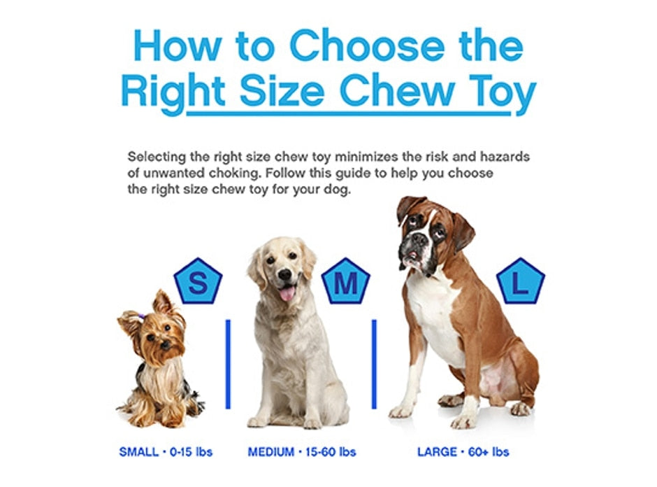 ALL FOR PAWS Dog Chew Toy,Dumbell Puppy Teething Chew Toys