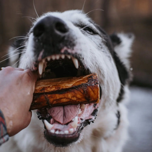 Natural Farm Beef Marrow Dog Bones Dog Treats