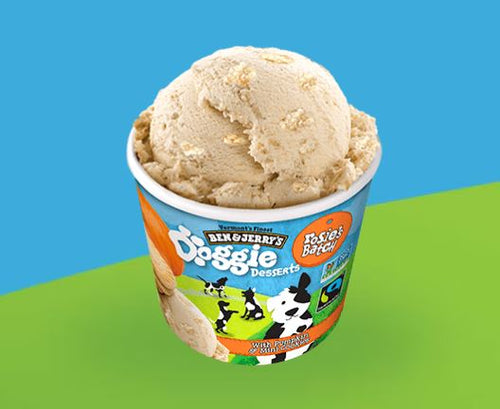 Ben & Jerry's Doggie Desserts Rosie's Batch Pumpkin & Mini Cookies Frozen Dog Treat