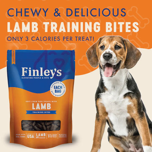 Finley's Lamb Recipe Soft Chew Training Bites Dog Treats (6 oz)