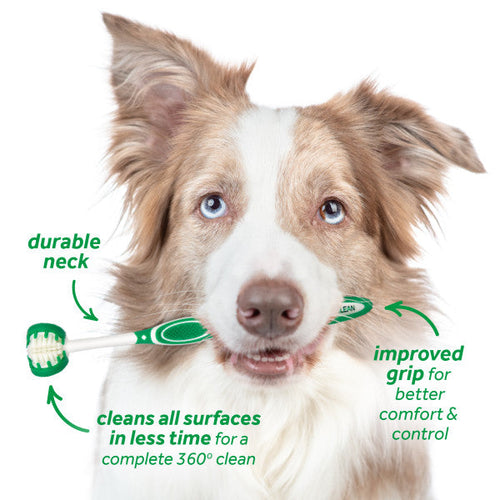 TropiClean Fresh Breath Oral Care Kit for Dogs