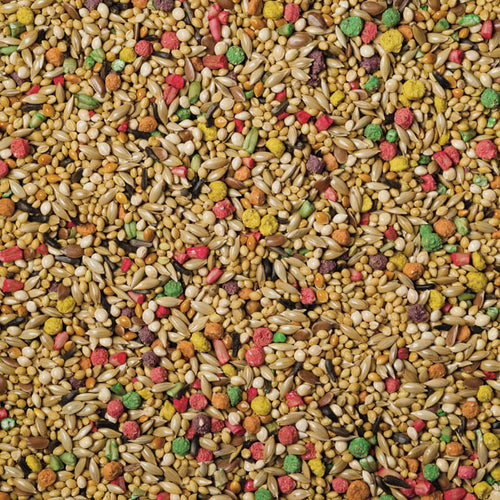 Scarlett Nutra Finch