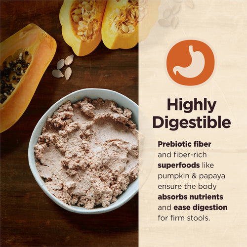 Wellness CORE Digestive Health Grain-Free Beef Recipe Dog Food