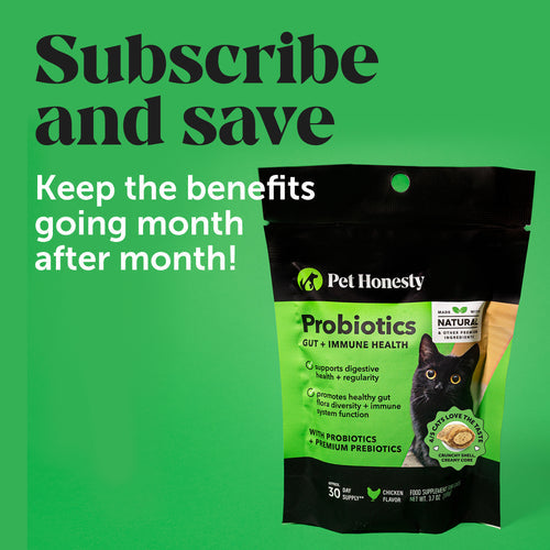 Pet Honesty Probiotics Gut + Immune Health for Cats