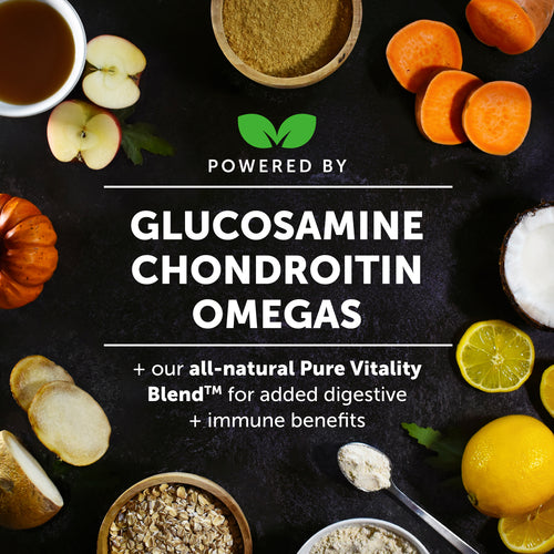 Pet Honesty Hip + Joint Health Supplement Chicken Flavor for Dogs