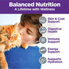 Wellness Complete Health Natural Grain Free Wet Cat Food Variety Pate Recipes Chicken & Turkey Pate Favorites