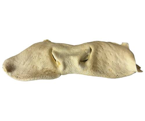 Great Lakes Pet Treats Cow Snout Puffed