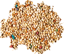 L'Avian Plus Parakeet Food