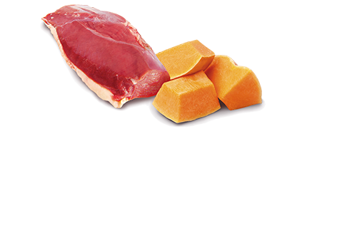 Farmina N&D Duck & Pumpkin Recipe Wet Cat Food