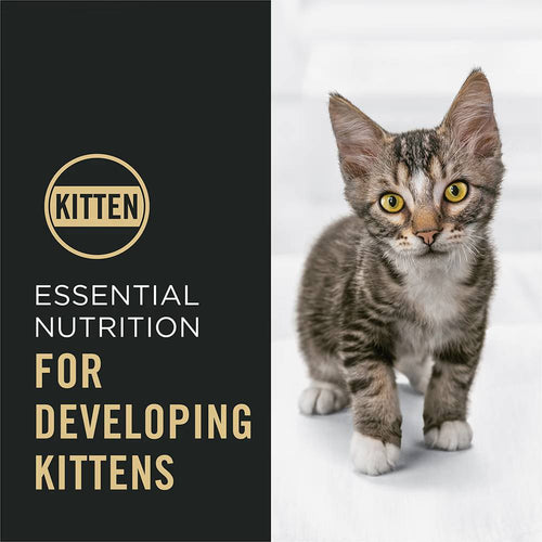 Purina Pro Plan Kitten Complete Essentials Shredded Blend Chicken & Rice Formula Dry Cat Food
