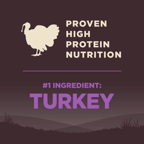 Wellness CORE Grain Free Senior Turkey Recipe Dog Food