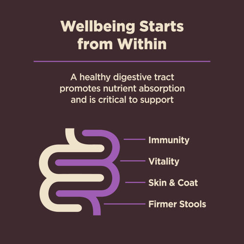 Wellness CORE Digestive Health Age Advantage Chicken & Brown Rice Dog Food