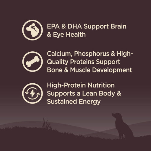 Wellness CORE Grain Free Small Breed Puppy Turkey Recipe Dog Food