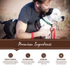 Holistic Select Natural Adult Health Lamb Meal Recipe Dry Dog Food