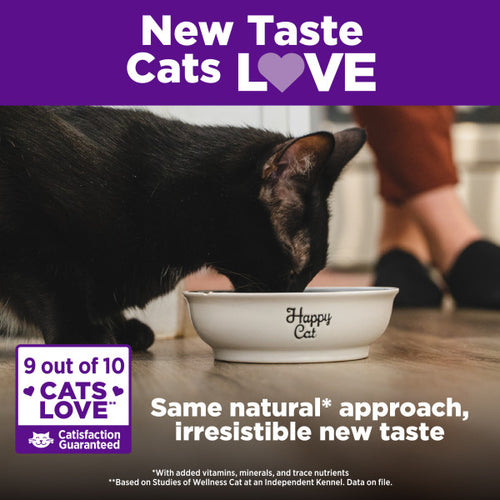 Wellness Complete Health Natural Kitten Grain Free Deboned Chicken and Chicken Meal Dry Cat Food