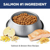 Hill's Science Diet Adult Perfect Digestion Dog Food, Salmon, Whole Oats & Brown Rice Recipe Dry Dog Food