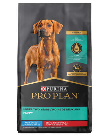 Purina Pro Plan Large Breed Beef & Rice Probiotic Dry Puppy Food