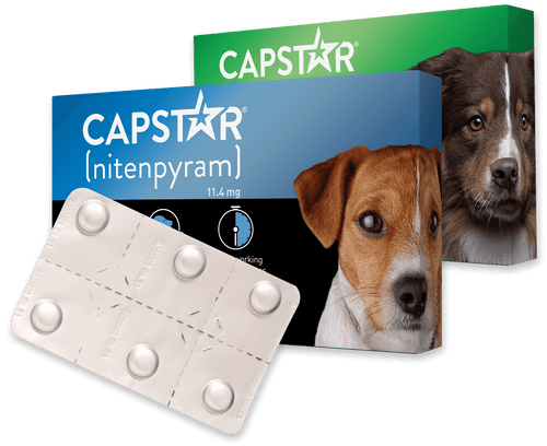 Therapeutic Products for Pets & Families