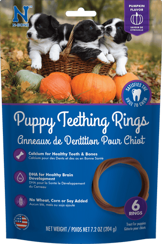 N-Bone® Puppy Teething Rings Pumpkin Flavor