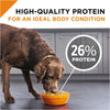 Purina Pro Plan Savor Adult Shredded Blend Lamb & Rice Formula Dry Dog Food