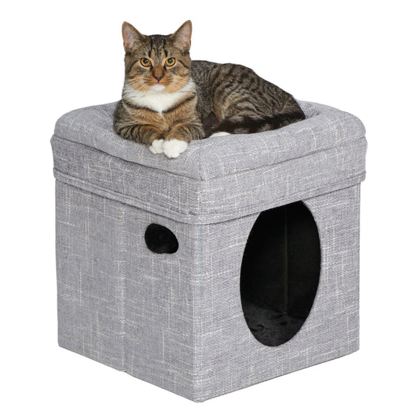 Midwest cat cheap condo