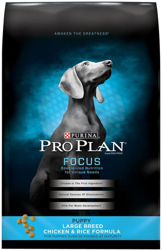 Pro plan 2025 focus puppy