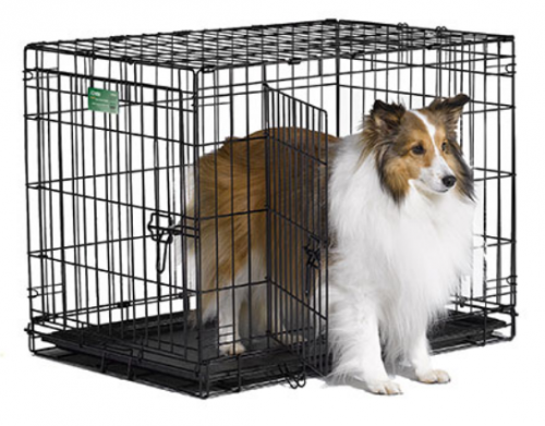 Midwest icrate double door dog crate sale