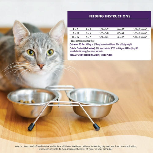 Wellness Complete Health Deboned Chicken & Chicken Meal Grain Free Senior Dry Cat Food