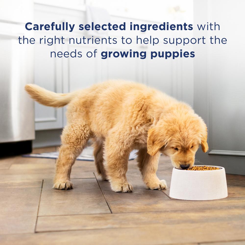 Natural balance hotsell lid puppy