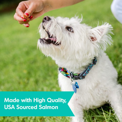 Dogswell Skin & Coat Mini Jerky Treats Salmon (10 oz)