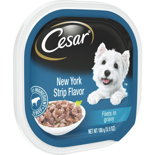 Cesar Filets in Gravy New York Strip Adult Wet Dog Food, 3.5 Oz.