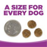 NutriSource® Large Breed Puppy Recipe Dog Food