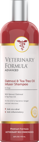 Synergy Labs Oatmeal & Tea Tree Oil Infuser Shampoo