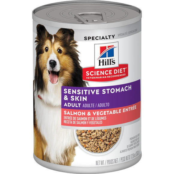 Wet salmon dog food sale