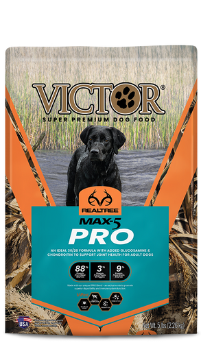 Stores that sell victor best sale dog food